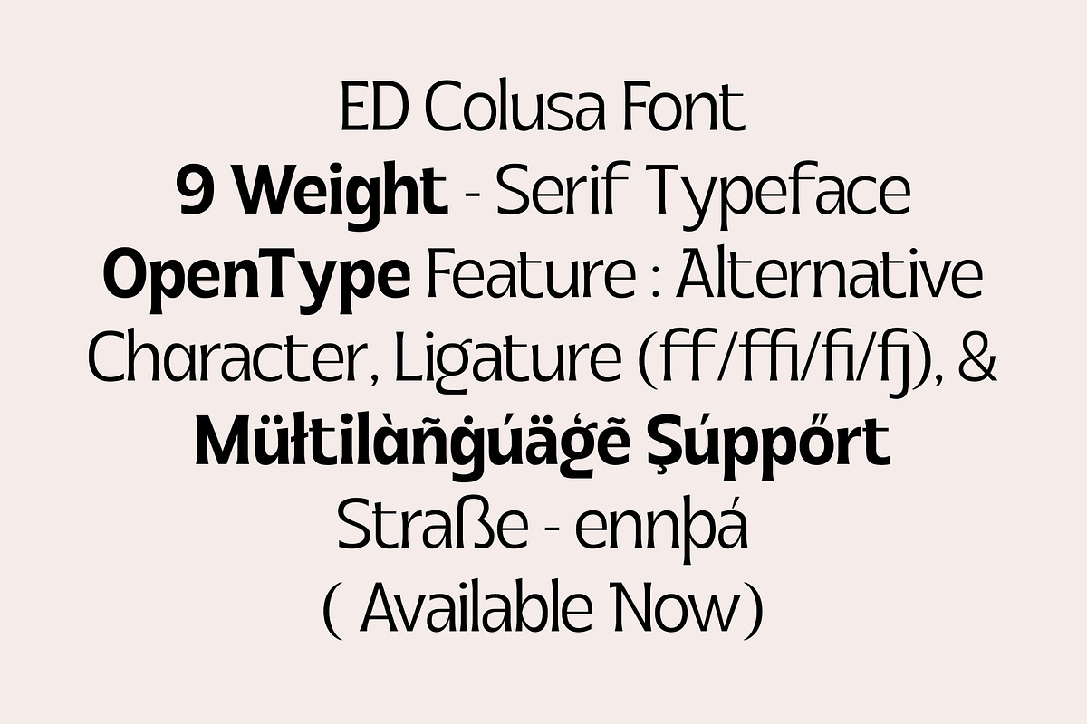 ED Colusa - Serif Font, a Serif Font by Emyself Design (Photo 8 of 12)