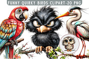 Funny Quirky Birds Clipart, an Illustration by Libby Wishes (Thumbnail 1 of 6)
