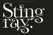 The Modern Font Bundle Vol.5 80% OFF, a Sans Serif Font by Tropical Type (Thumbnail 24 of 43)