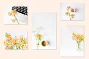 Spring flowers photo bundle featuring minimal, white, and orange, a Business Photo by Visual Bloom (Thumbnail 3 of 3)