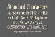 Whimster Glimpse - Display Font, a Font by Letterhend Studio (Thumbnail 4 of 7)
