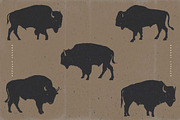 BUFFALO LEGEND, an Animal Illustration by Artistic & Unique (Thumbnail 7 of 8)