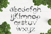 Leaphabet, a Serif Font by Kris Davie (Thumbnail 4 of 10)