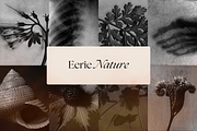 Dark Ephemera Stock Photo Bundle, a Person Photo by The Flossy Finch (Thumbnail 11 of 16)