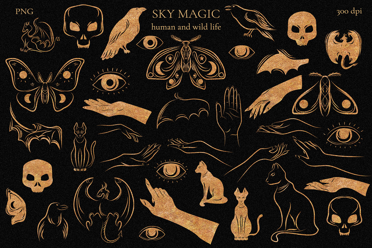 Sky Magic, an Object Graphic by Salted Galaxy (Photo 5 of 7)
