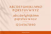 MONSCHONE, a Serif Font by Bagerich Type Foundry (Thumbnail 3 of 10)