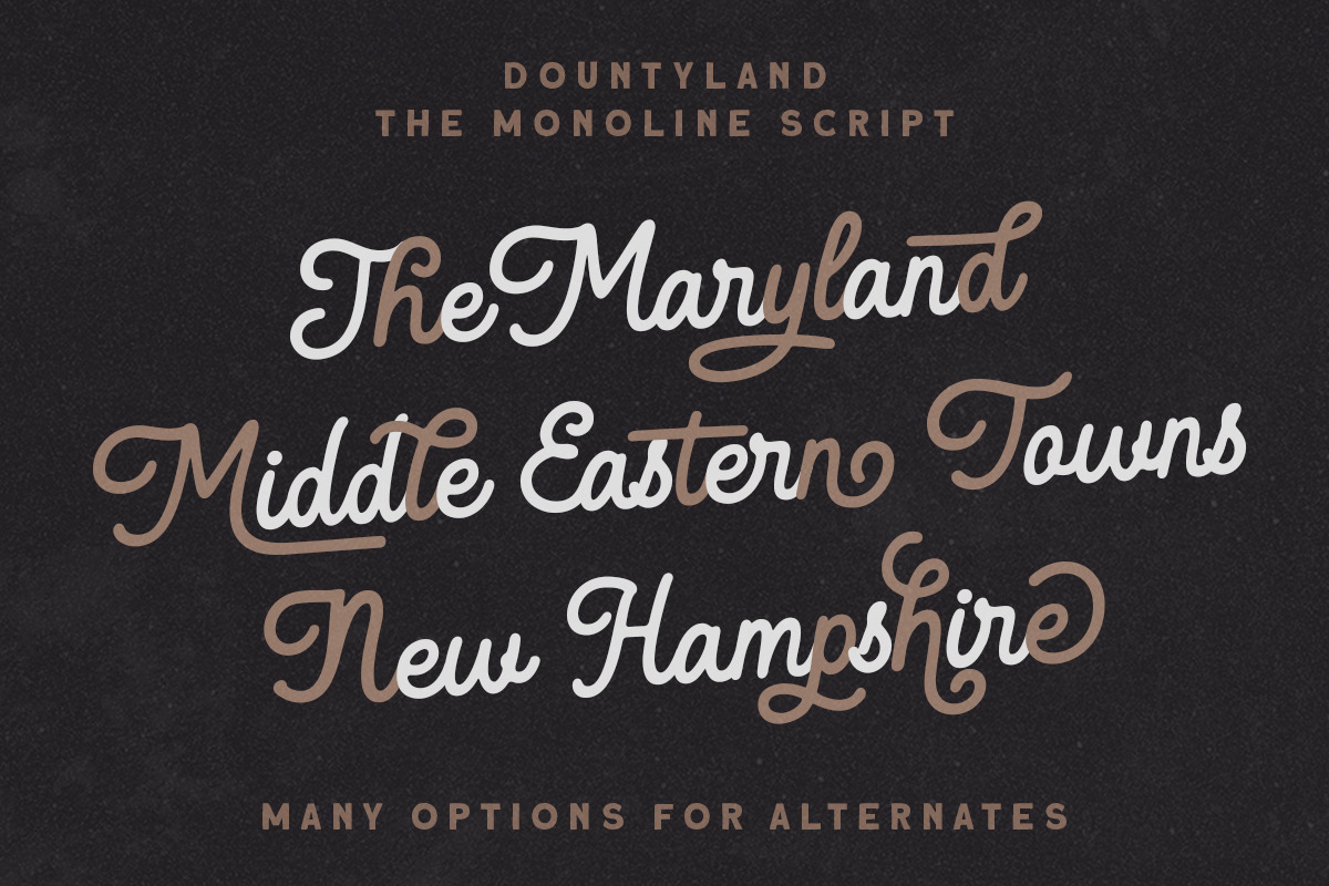 Dountyland - Monoline Script, a Script Font by Letterhend Studio (Photo 2 of 8)