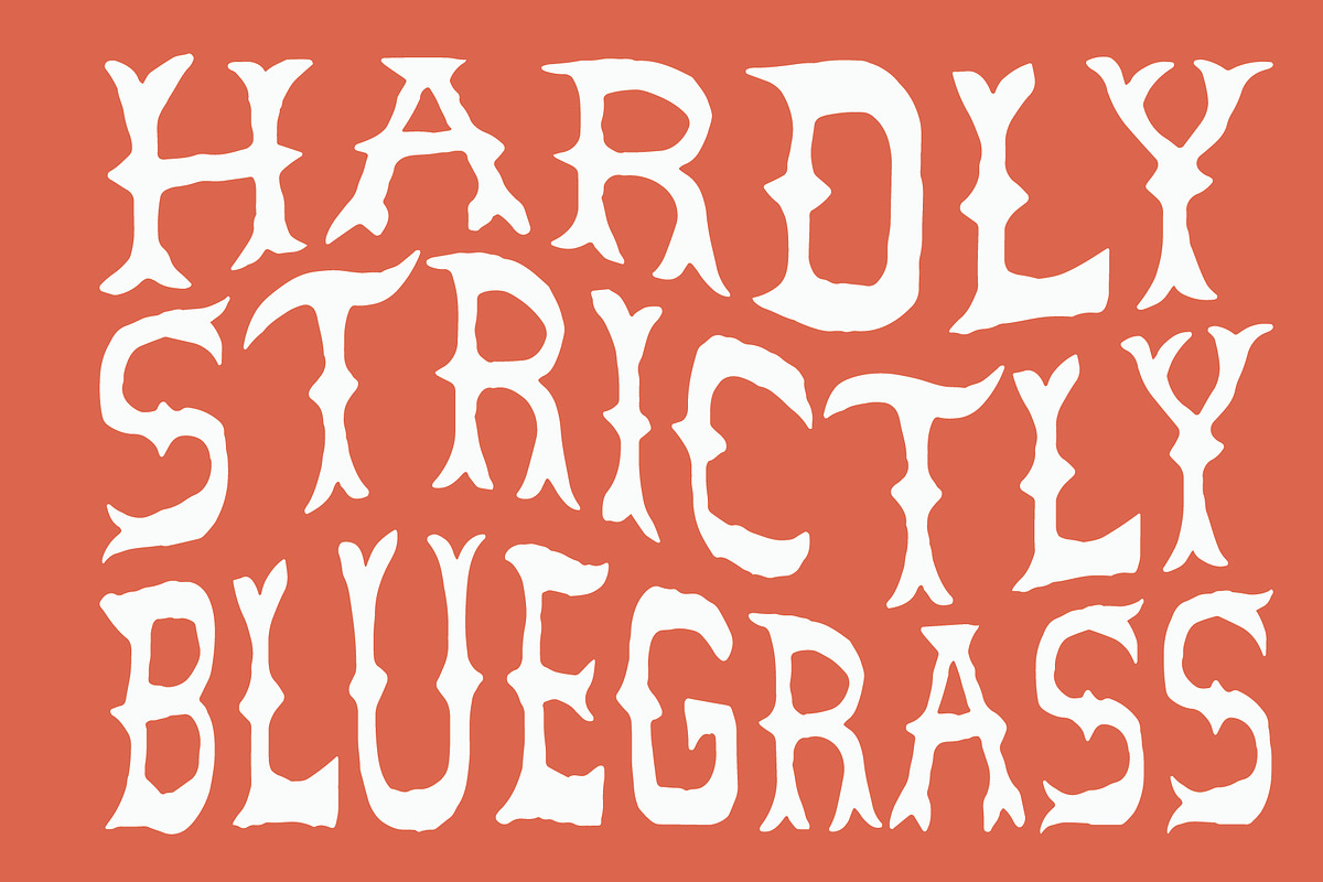 In the Meadow, a Serif Font by Midnight Grim (Photo 6 of 8)