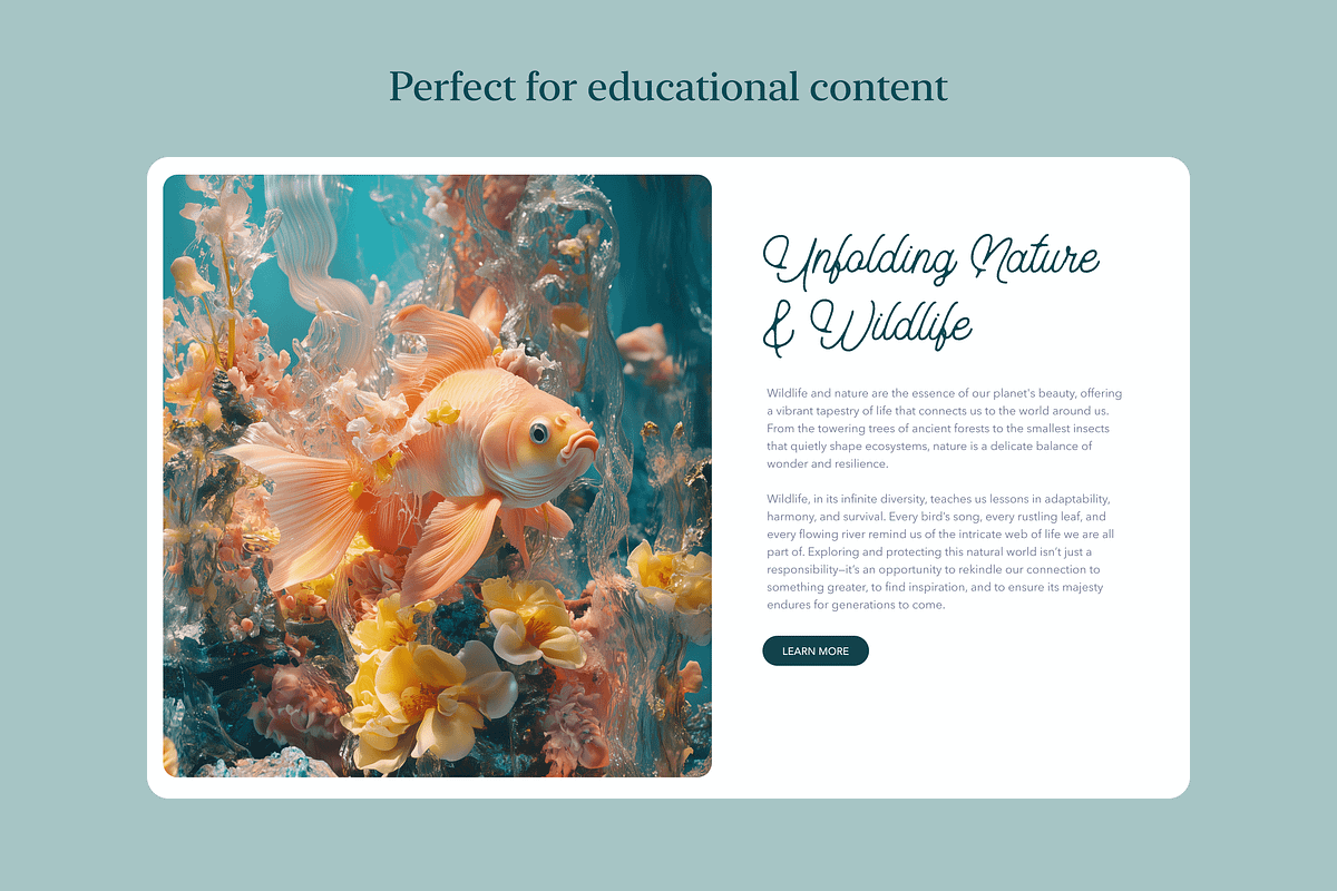 Aquarium, an Animal Photo by Typedreams.site (Photo 5 of 7)
