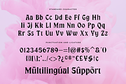 Groove Flare - Display Groovy Font, a Serif Font by Get Studio (Thumbnail 9 of 11)