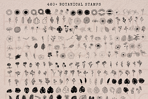 460 Procreate Stamps - Botanical