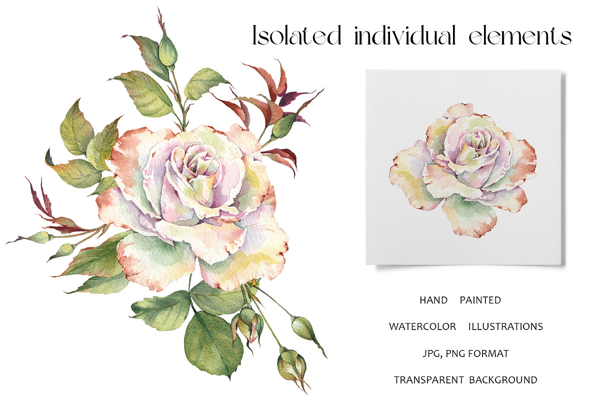Romantic Watercolor Rose Clipart, a Decorative Illustration by Jeanna Draw (Photo 7 of 17)