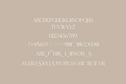Clover Font Duo, a Serif Font by Pen Culture (Thumbnail 9 of 10)