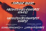 Forever Young Brush Font, a Font by Greg Nicholls (Thumbnail 7 of 8)