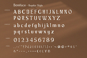 Boniface - Display Serif Font