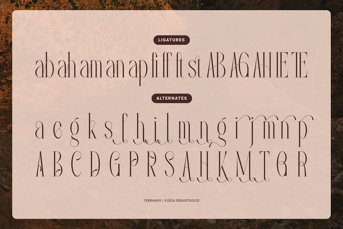 Tebranos | Modern Display Serif, a Serif Font by Denustudios (Photo 13 of 13)