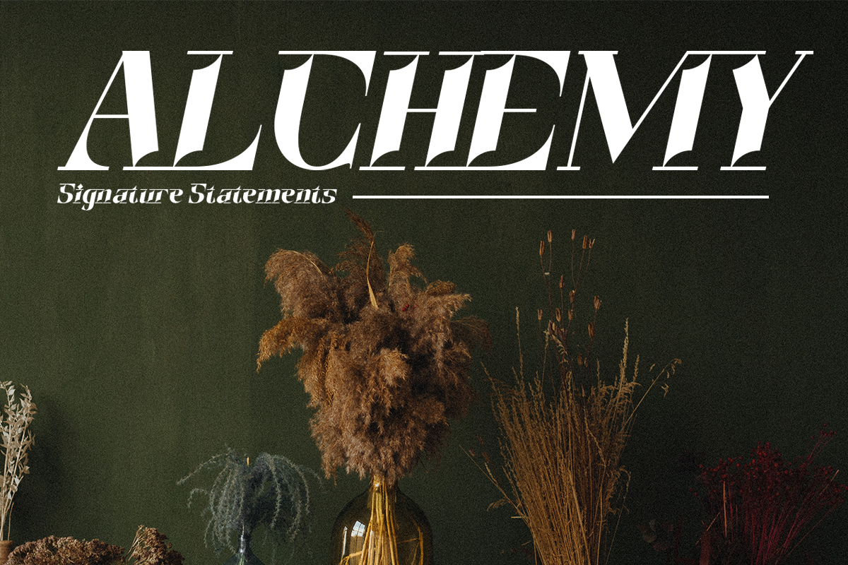 Dinamika - Modern Display Font, a Serif Font by Say Studio (Photo 8 of 10)