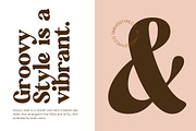 Regina Morise Classy Retro Serif, a Serif Font by timelesstype.co (Thumbnail 14 of 20)