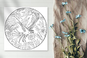 10 Circle Coloring Pages | Nature, an Animal Illustration by ChristinaDesigns (Thumbnail 2 of 7)