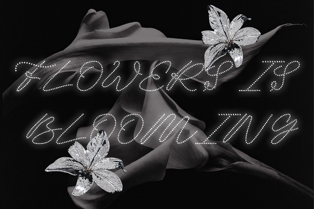 Starlight - Decorative display font, a Script Font by Setara Langit CreativeStd (Photo 8 of 12)
