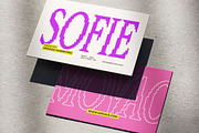 Muntave - Pixelated Oblique Serif, a Serif Font by Typia Nesia (Thumbnail 9 of 11)