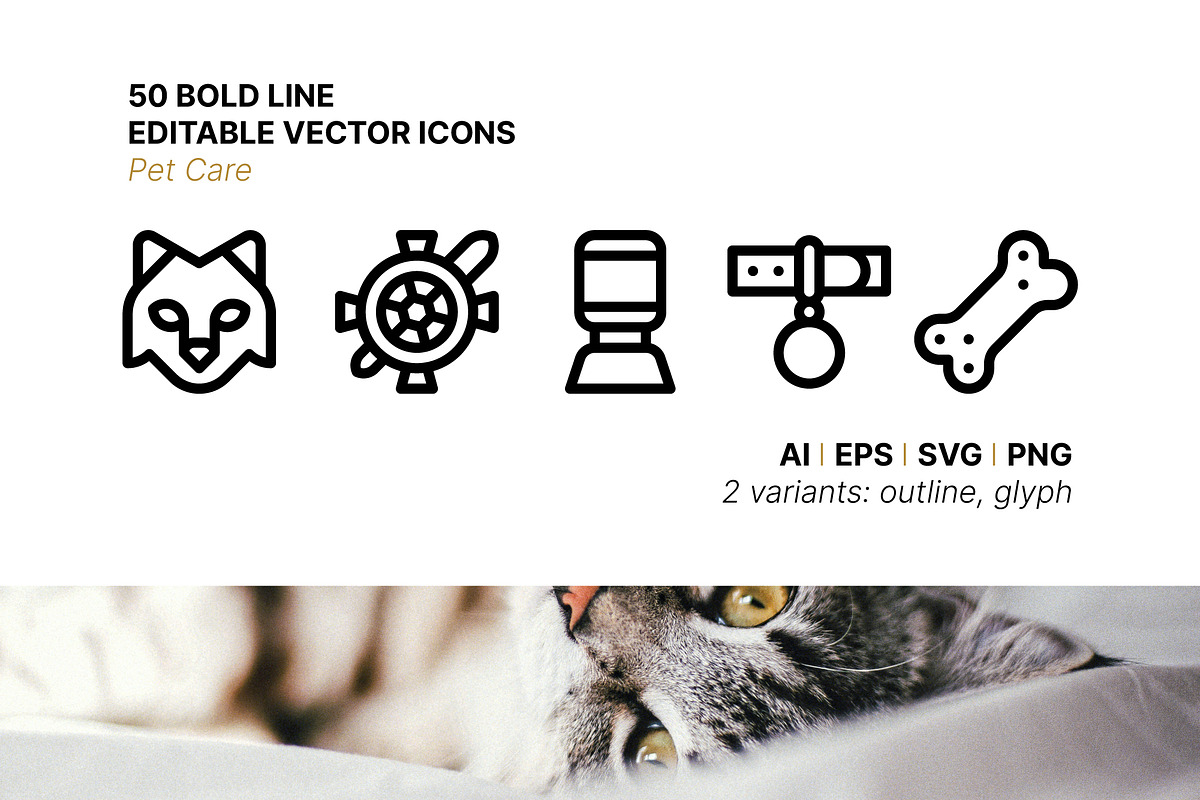 50 Pet Care Icons, an Outline Icon by Side Project (Photo 1 of 8)