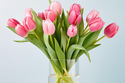 Bouquet of tulips. 56 images, a Holiday Photo by Handmadefont (Thumbnail 3 of 11)