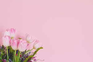 Spring bouquet featuring tulip, bouquet, and creative market