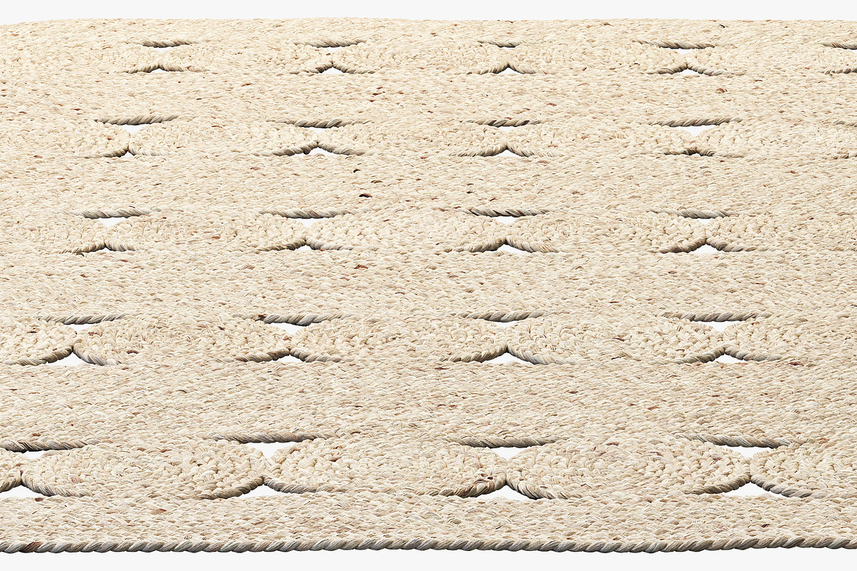 Safavieh Hajri Jute Rug (2 options), a Furniture 3D Model by 3dmitruk (Photo 22 of 23)