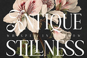 Amelissa Partis, a Serif Font by Madjack.font (Thumbnail 5 of 11)
