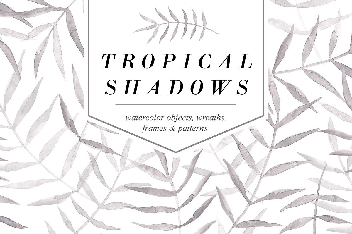 TROPICAL SHADOWS Watercolor Pack, an Illustration by Yashroom (Photo 1 of 5)