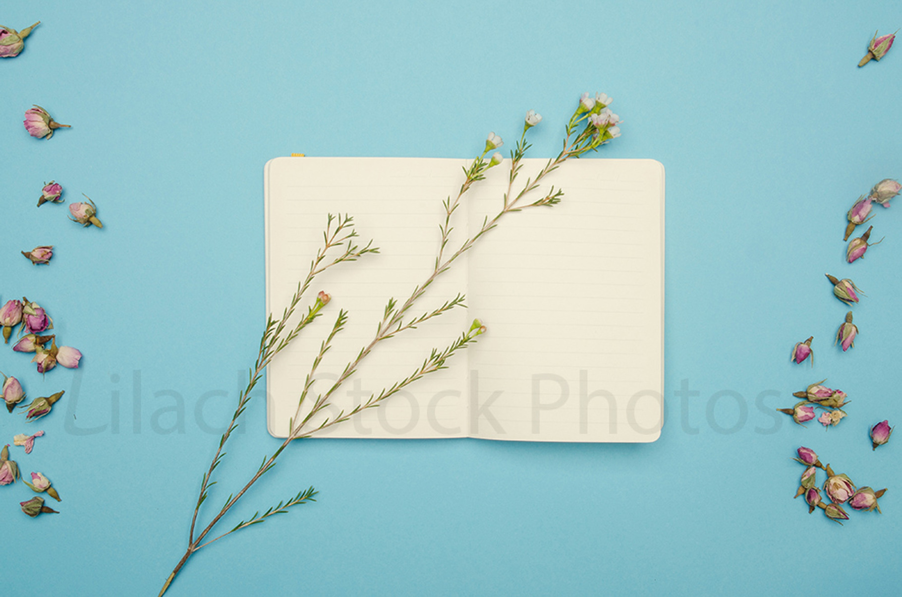 Falling in love 3 containing health, pinterest, and facebook, a Business Photo by The LUV Stock Photos