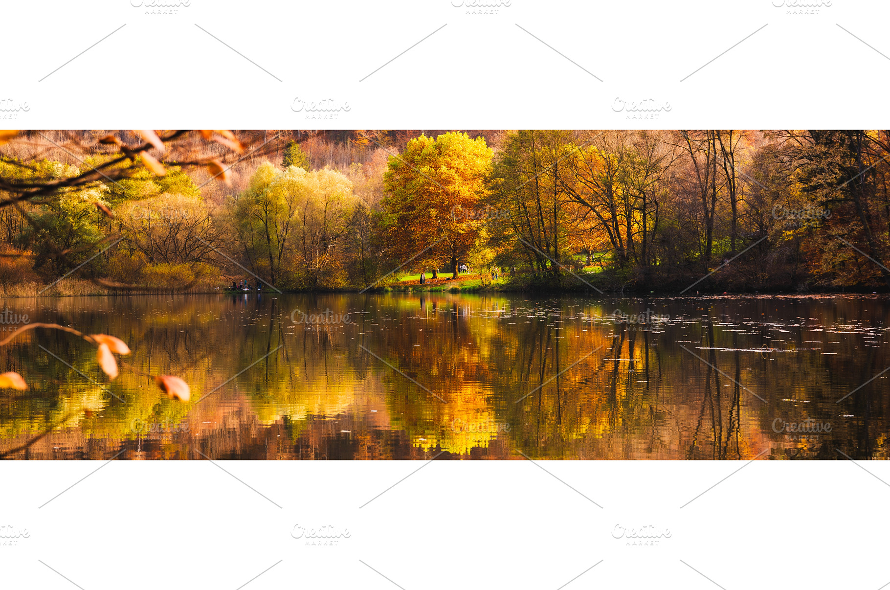 Thalersee lake at autumn. Forest, a Nature Photo by MadPhotos