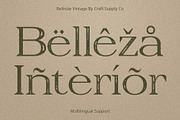 Belinzie Vintage, a Serif Font by Craft Supply Co. (Thumbnail 4 of 8)