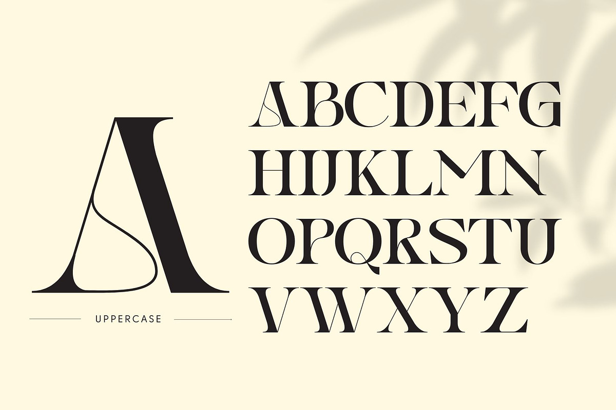 Gauker - Modern Ligatures Serif, a Serif Font by Nirmana Visual (Photo 4 of 12)