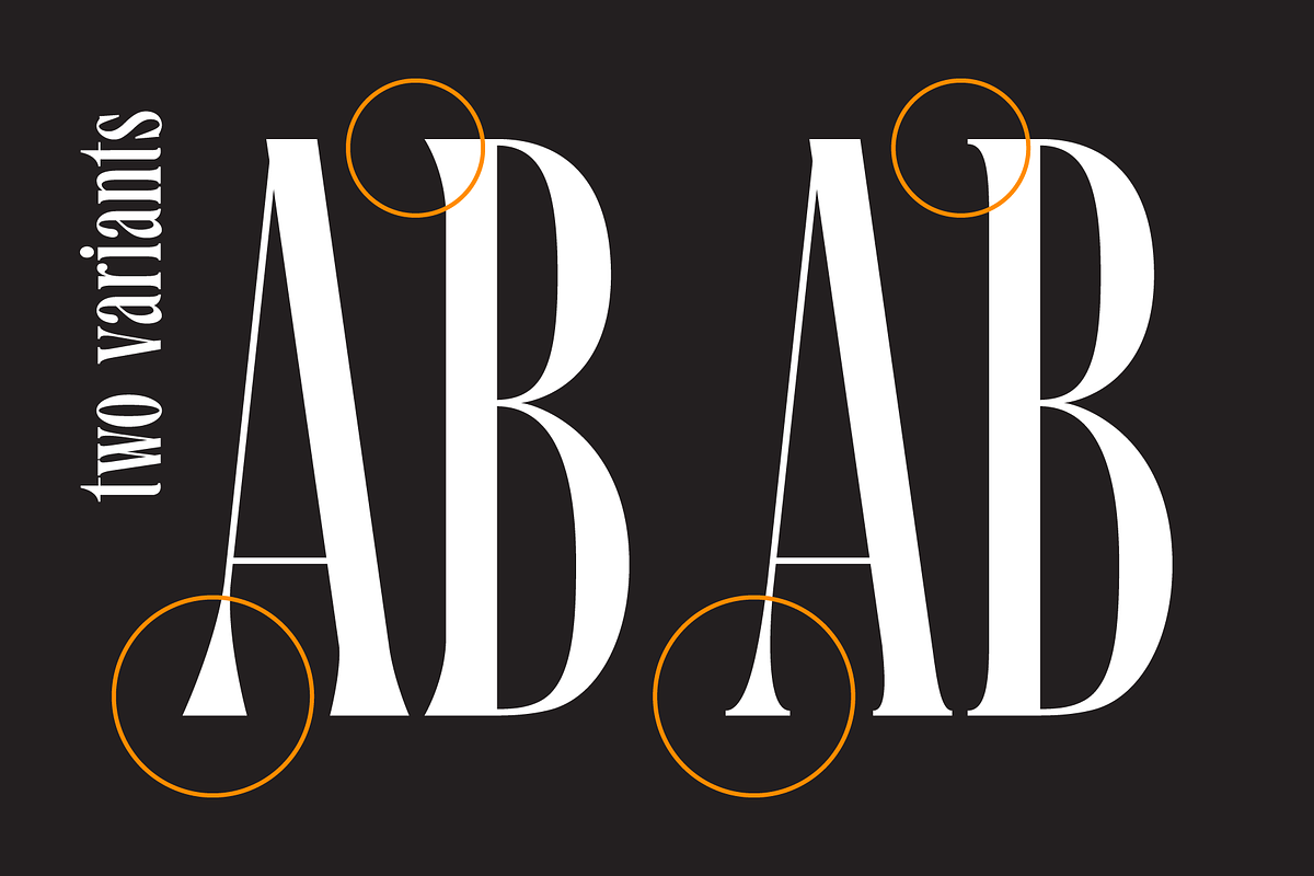 Santall: Modern Serif Font, a Serif Font by Andfonts (Photo 5 of 10)