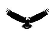 50 Flying Eagle Silhouette Vector Bu, an Illustration by Designs_River (Thumbnail 6 of 51)
