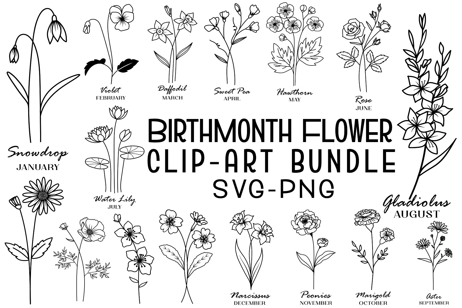 Birth Month Svg Bundle