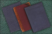 10 Vintage and Antique Book Covers, a Texture Graphic by Blue Line Design (Thumbnail 3 of 5)