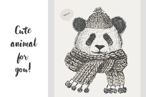 cute Panda