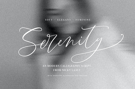 Neo Serenity Script - Calligraphy, a Script Font by Nicky Laatz