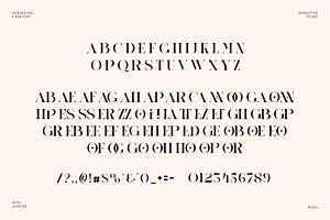 Onnier Elegant Ligature Serif Font T