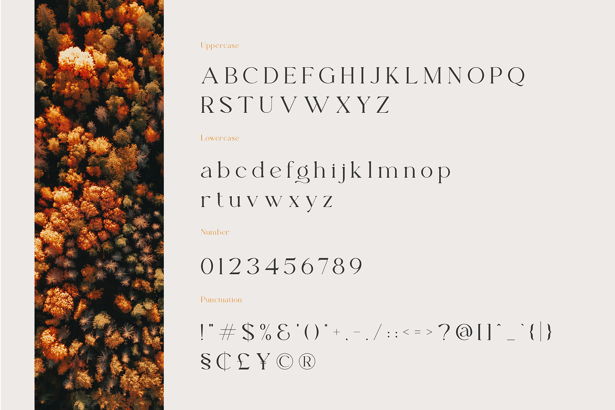 Beverly - Modern & Luxury Serif Font, a Serif Font by Pen Culture (Photo 10 of 12)