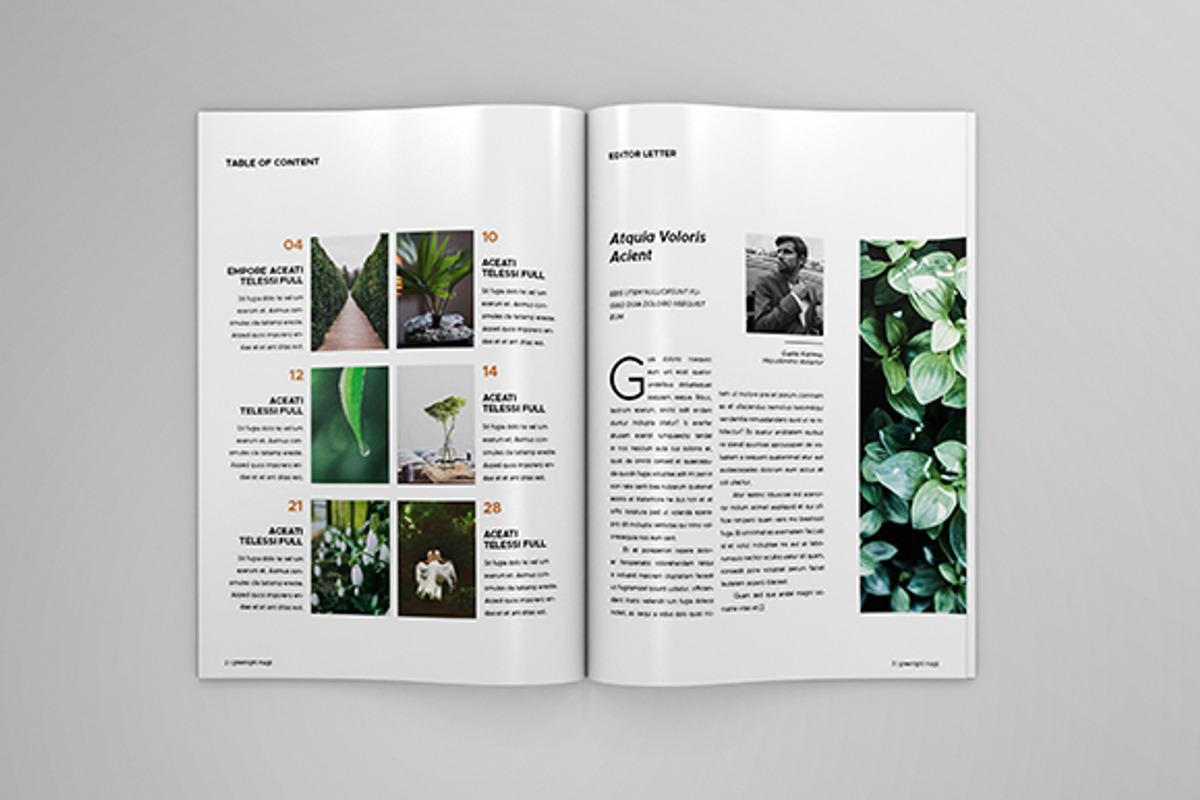 Greenlight Magazine, a Magazine Template by Bookrak Graphic Design (Photo 2 of 8)