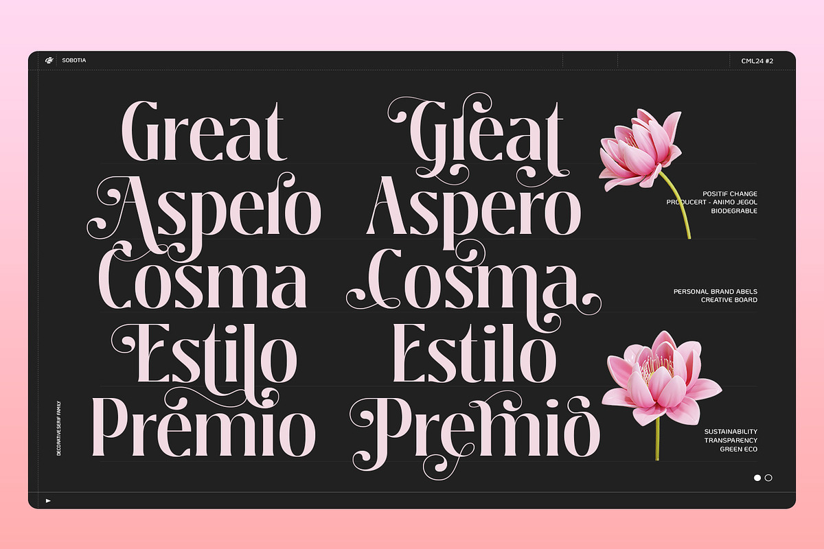 Sobotia - Playful Serif family, a Serif Font by creativemedialab (Photo 7 of 10)