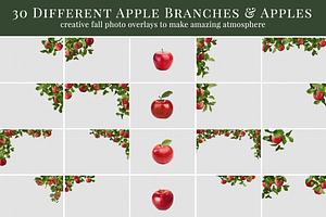 Apple Orchard Photo Overlays