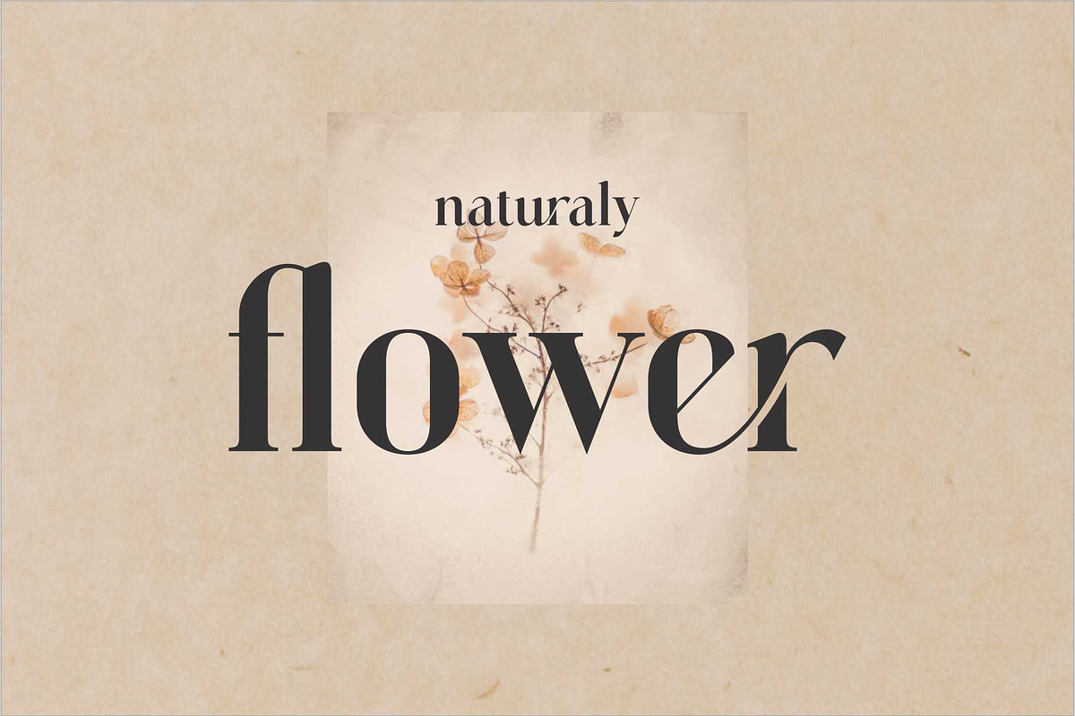 Vattea Villany Modern Serif Typeface, a Serif Font by Dylla_studio (Photo 4 of 10)