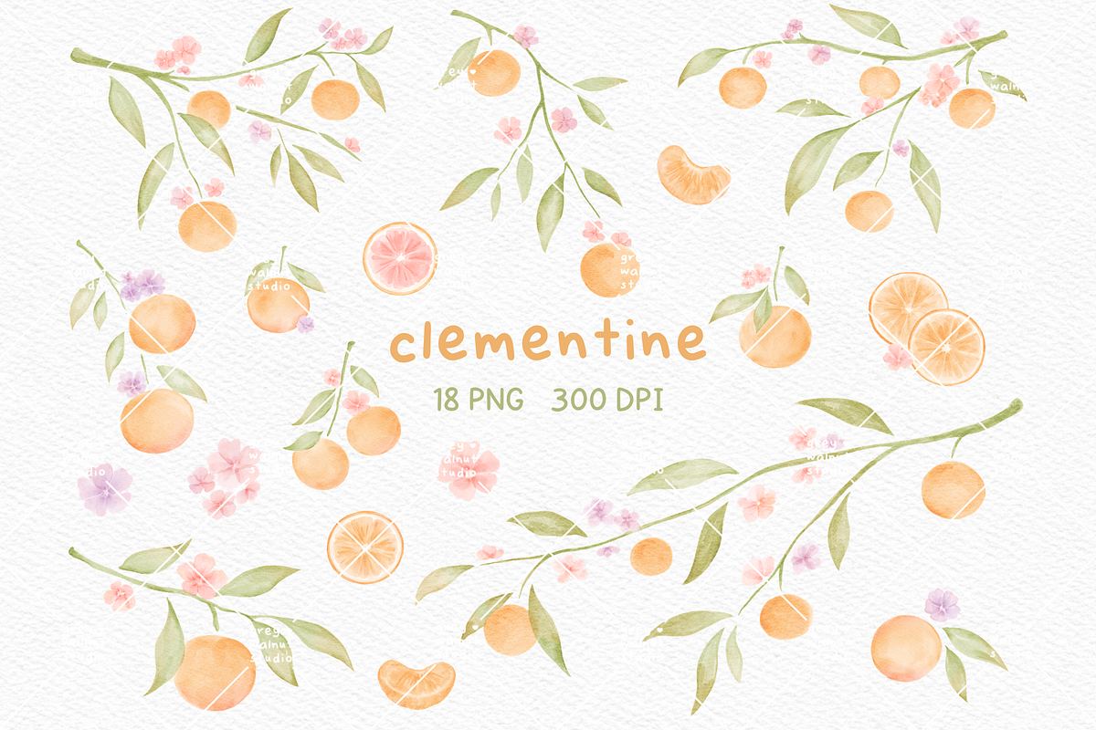Clementine Clipart, a Decorative Illustration by greywalnutstudio (Photo 1 of 4)