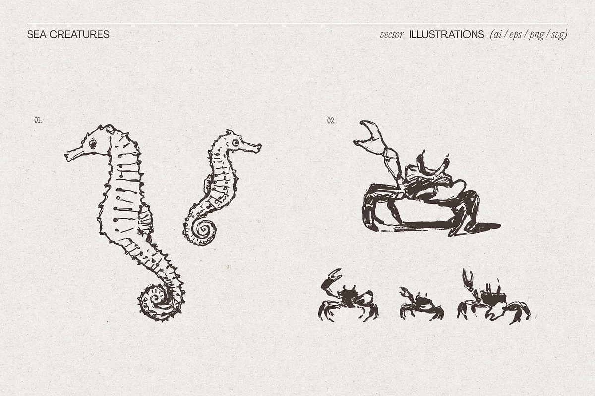 Summer Vacation Beach Collection, a Seasonal Illustration by TheMountBirdStudio (Photo 15 of 21)