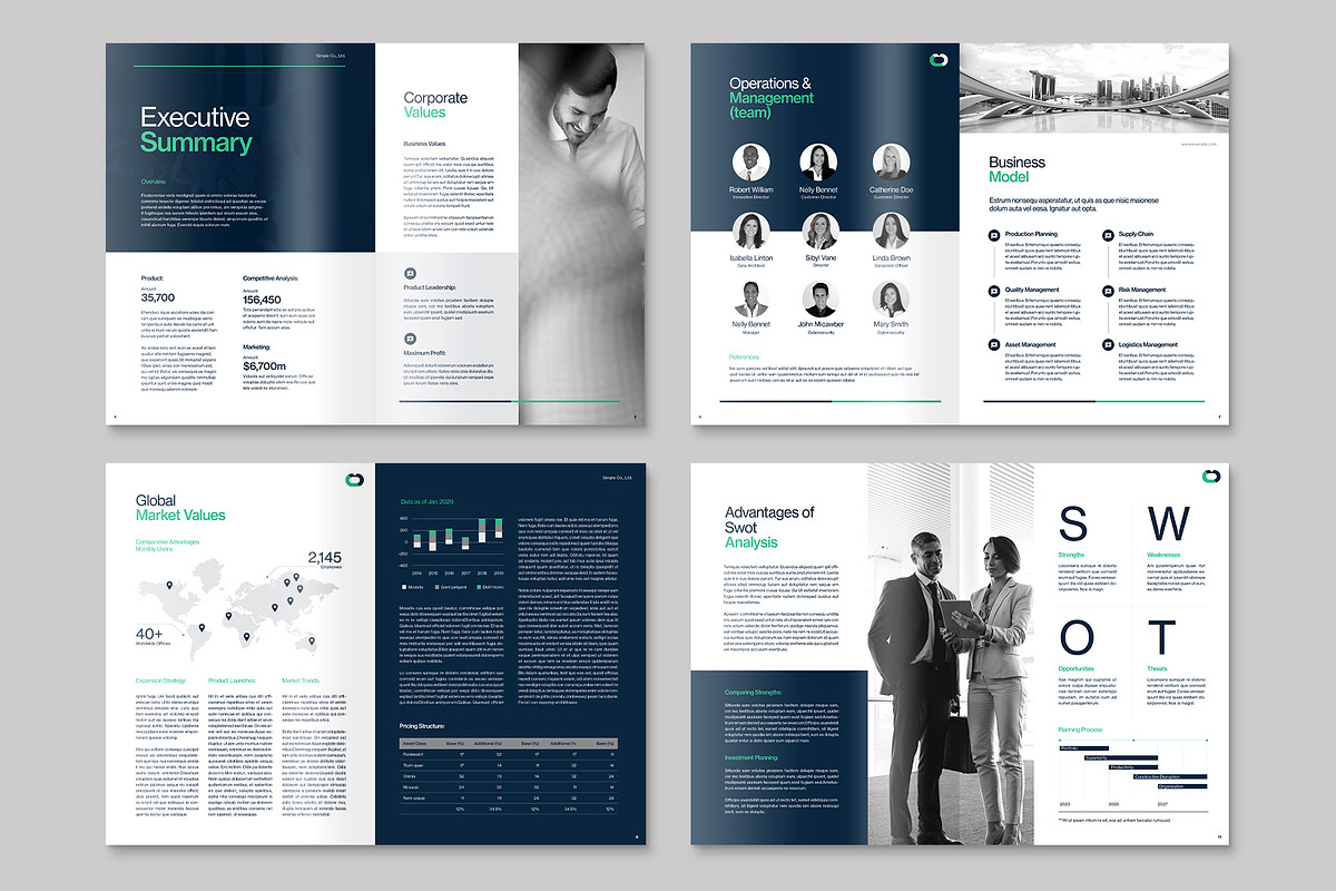 Business Plan Template, a Brochure Template by BrandPacks (Photo 3 of 5)